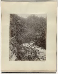 Beek in een oerwoud, mogelijk op Sumatra