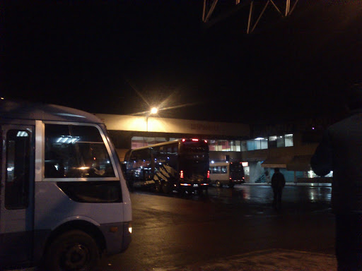 Terminal Buses Curico