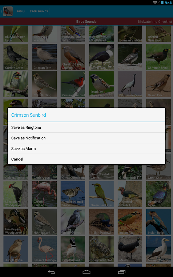 Asian Birds Sounds Free Android Apps on Google Play