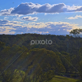 From Mount Annan, NSW , Australia by Mominul Haque - Landscapes Forests