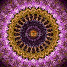 flower garden design by Marjorie Speiser - Illustration Abstract & Patterns