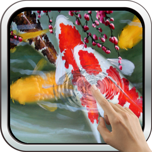 Galaxy Interactive Koi Fish LOGO-APP點子