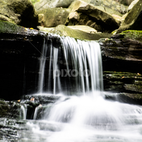 Miners Run Falls by Isaac Golding - Nature Up Close Water