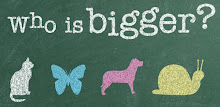 Animal Sizes - Who is Bigger? APK