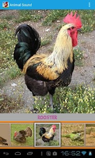 Animal Sound Screenshots 3