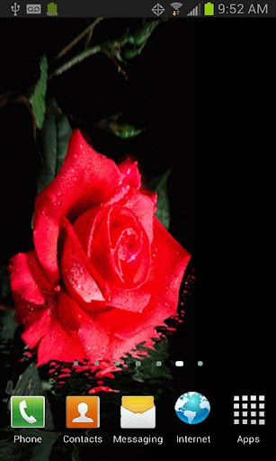 Floating Red Rose LWP