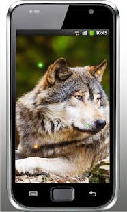Wild Wolves live wallpaper Screenshots 2