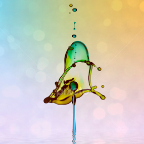 Waterdrops by Kurit Afsheen - Abstract Water Drops & Splashes