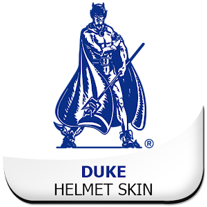 Duke Helmet Skin