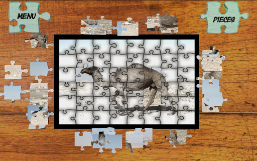 【免費解謎App】Jigsaw Puzzles Animals World-APP點子