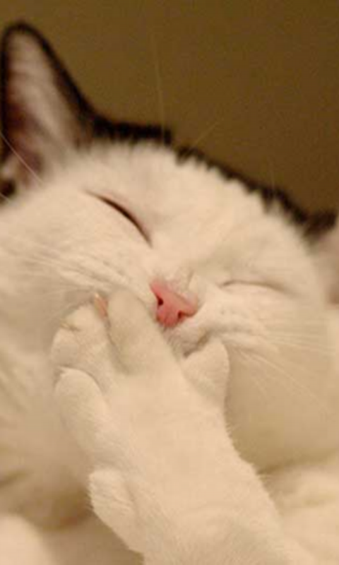 kEGavy70Si7m3hg532h-_JVJodg8aD6TKrYgkRFUjUwErKp50N6ZDJQ7ezo28R7NrQ=h900