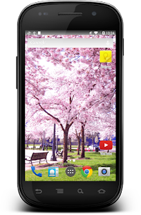 Lastest Sakura Wallpaper 4K APK for PC