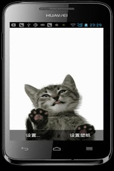 猫が画面を舐める Androidアプリ Applion