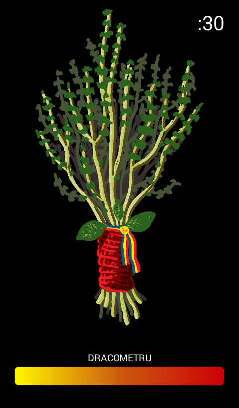 Busuioc Screen 3