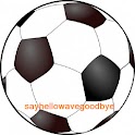 Wolves FC News 2012 Ad Free