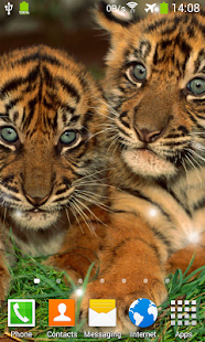 download Little Tiger Live Wallpaper free