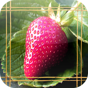Strawberry Jigsaw Puzzle.apk 1.0