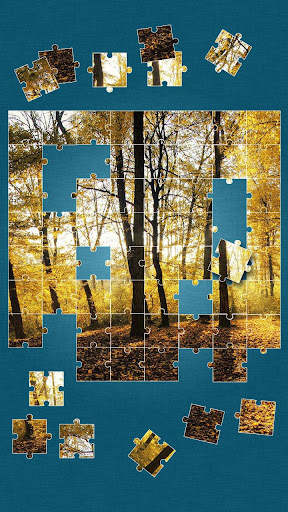 Forest Jigsaw Puzzle