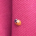 7 spotted ladybug