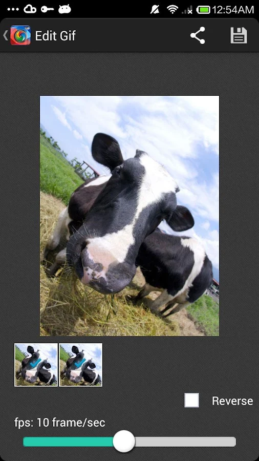 GIF Camera - screenshot