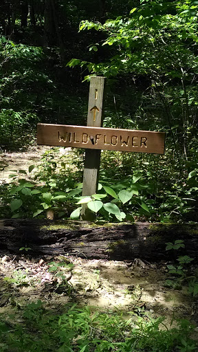 Wild Flower Trail
