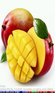 Fruits and Berries 2 FREE - náhled