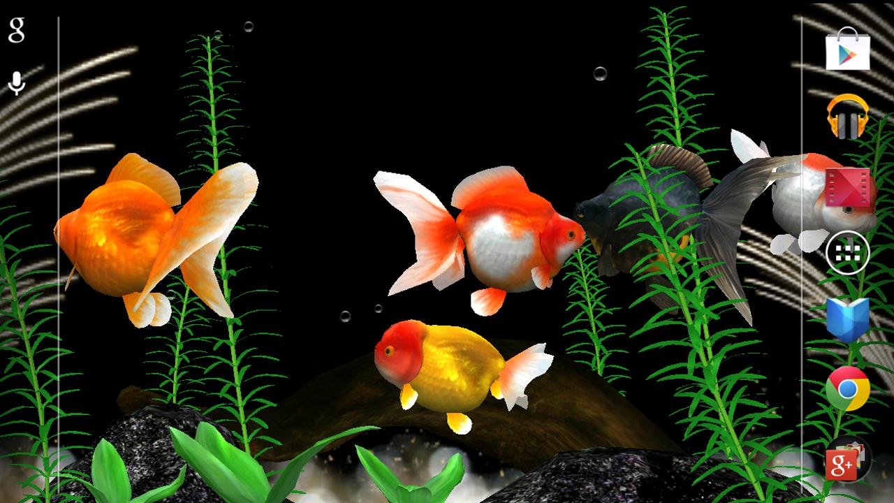 Gold Fish 3D free LWP - Android Apps on Google Play
