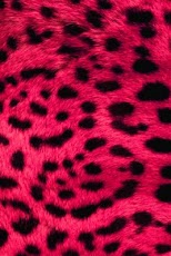 Pretty Animal Print Wallpaper