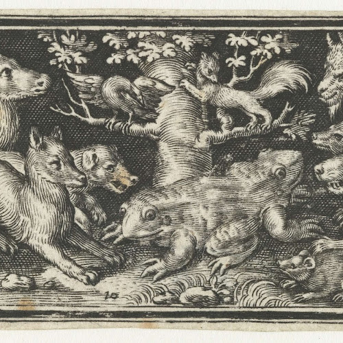 Tweekoppige pad of kikker en andere dieren, Nicolaes de Bruyn, 1594
