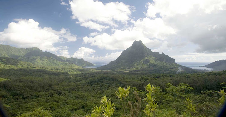Catch a view of Cook's Bay andl the mountains that create Mo'orea's volcano from Belevedere Lookout.