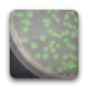 Colony Count BETA logo