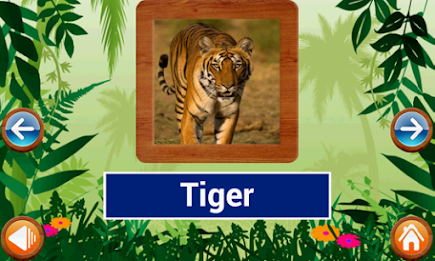 Animals and Birds by Intellisense poster 19