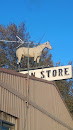 Horse on a Store