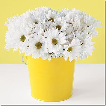 yellow bucket and daisies