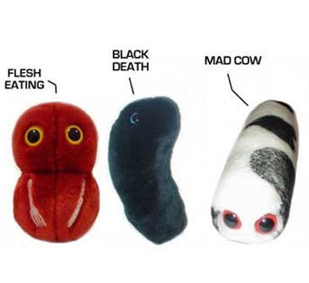 Stuffed Toys - Bacteria, Viruses and Parasites | Amusing Planet