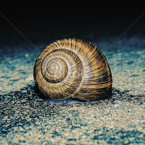 by Boris Romac - Instagram & Mobile iPhone