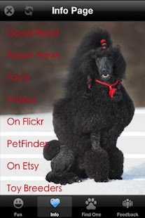 How to download Poodle+ Free 1.0 apk for bluestacks