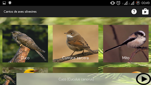 【免費娛樂App】Cantos de aves silvestres-APP點子