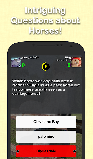 【免費益智App】馬匹問答游戲-APP點子