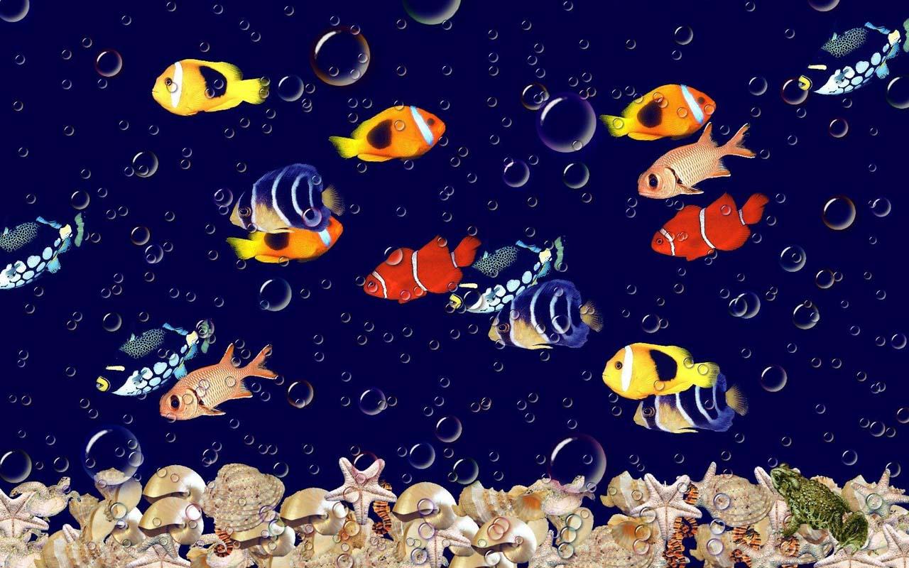 Download The 5D Aquarium Live Wallpaper Android Apps On NoneSearchcom