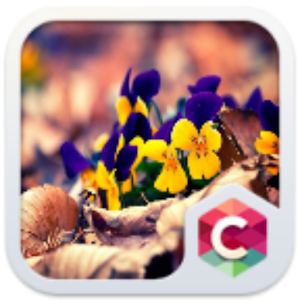 Crystal Flower Clauncher Theme.apk 4.1.0