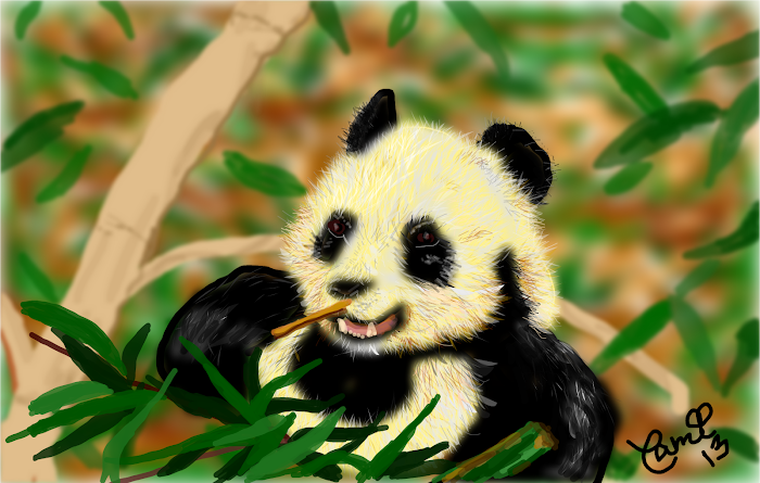 Panda lunching on bamboo