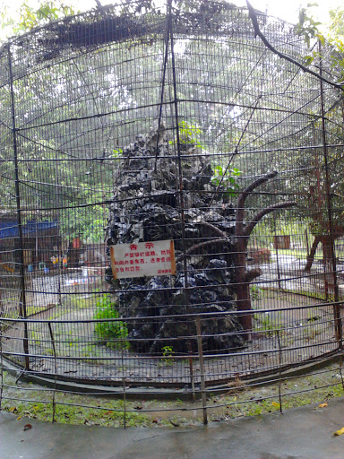 the monkey gate