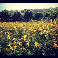 沐心泉休閒農場