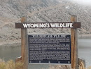 Wyoming's Wildlife Sign