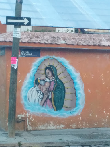 Mural Virgen Nísperos