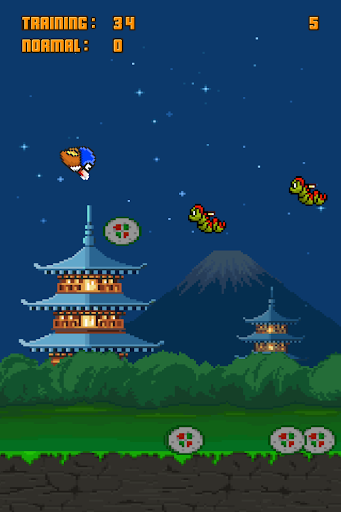 Slashy Bird Sushi Ninja