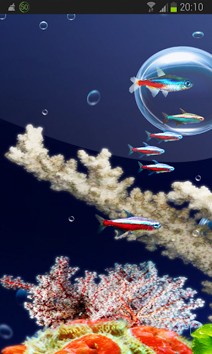 Aquarium 3D Neon Fish HD LWP