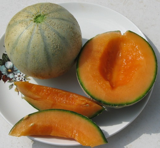 [melons4.jpg]