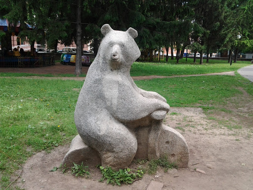 Медведь в Солнечном парке